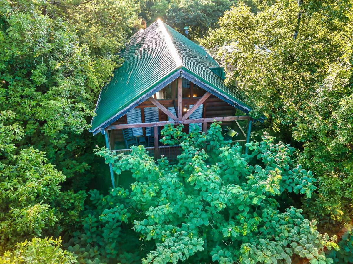 Cozy Log Cabin!! In Heart Of Pf & Close To The Smokies Pigeon Forge Exterior foto